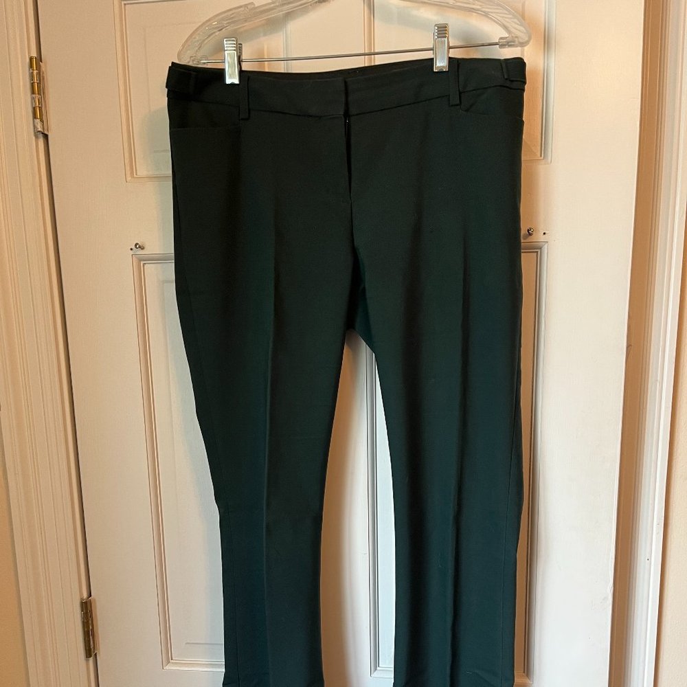 Express Straight Leg Pants - 8L - Forest Green